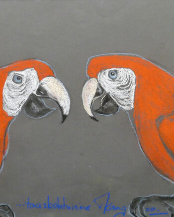 Colorfulbirds, birds, wildlife cacadoo, blue, red, parrots, rainforest, wildlife, estonianartist, taunokangro