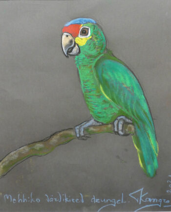Colorfulbirds, birds, wildlife cacadoo, blue, red, parrots, rainforest, wildlife, estonianartist, taunokangro