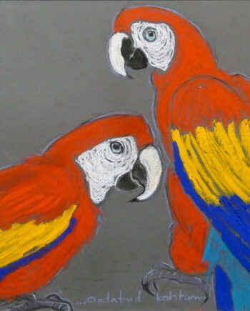 Colorfulbirds, birds, wildlife cacadoo, blue, red, parrots,Tauno Kangro, pastellmaal,pastel painting, estonian artist ,Osta taunokangro.com kunstipoest internetis.